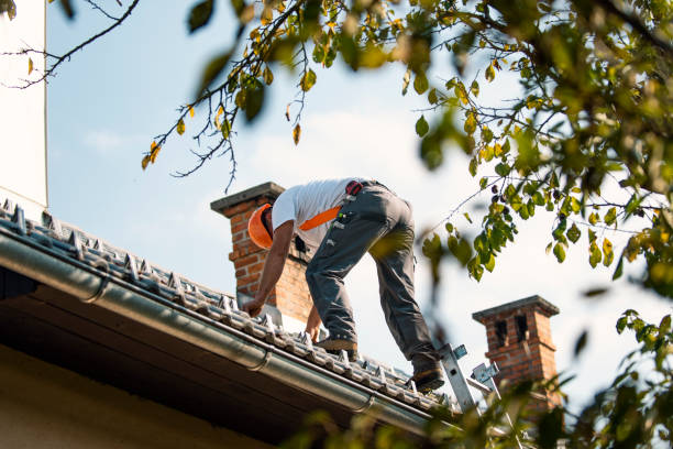 Best Gutter Installation and Repair  in Folkston, GA